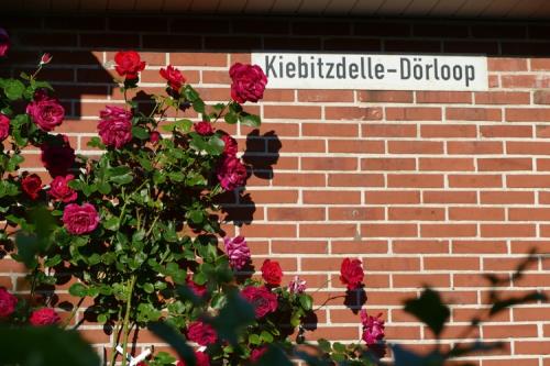 Borkum Ferienhaus Haus Min to Hus