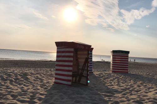 Borkum Ferienwohnung Fasanennest - Fasanennest - ID 11010 - Typisch Borkum