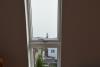 Borkum Ferienwohnung Inselperle - Ausblick