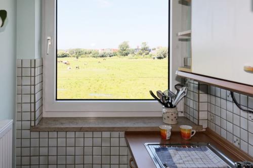 Borkum Ferienwohnung Moby Dick - Blick aus der Küche