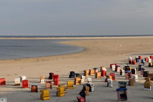 Borkum Ferienwohnung Scholle, Mövennest II - Typisch Borkum