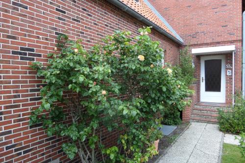 Borkum Ferienwohnung Haus Ebeling / Wohnung Seehundsbank - Aussenansicht