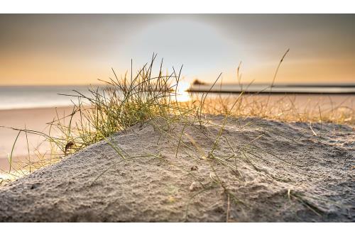 Borkum Ferienwohnung Dat Mutt