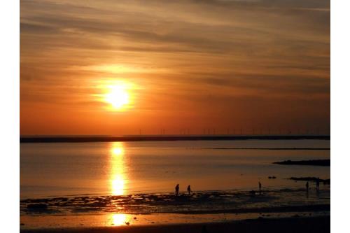 Borkum Ferienwohnung im Haus Jan Granat - Typisch Borkum