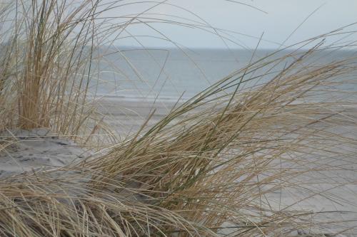 Borkum Ferienwohnung Ahoi - Typisch Borkum