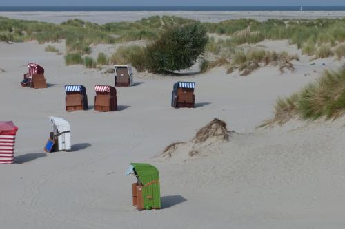 Borkum Ferienwohnung Nelehus - Typisch Borkum