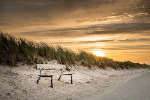 Borkum Ferienwohnung Watt Mutt