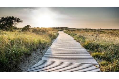 Borkum Ferienwohnung Watt Mutt