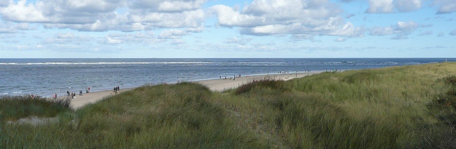 Dünen Langeoog